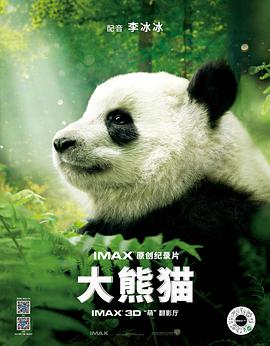 大熊猫在国外